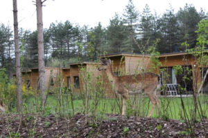 Notre photo coup de cœur Center Parcs lors de notre dernier séjour au Bois aux Daims.