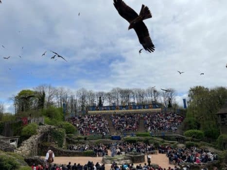 Puy du Fou spectacle Le Bal des Oiseaux Fantômes